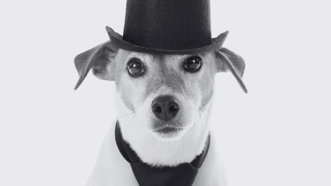 Laird Hatters Caps and Hats 101