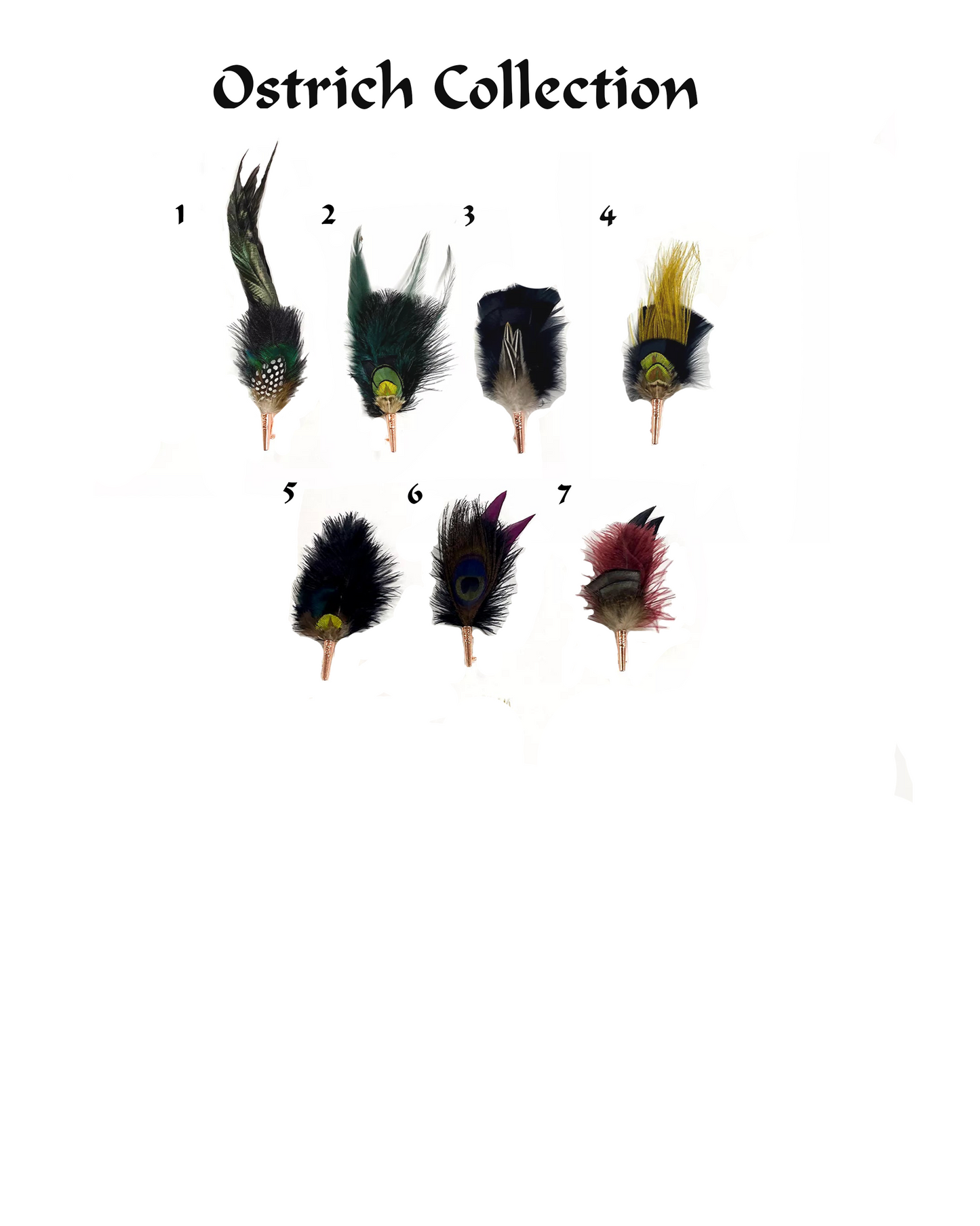 Hat Feathers