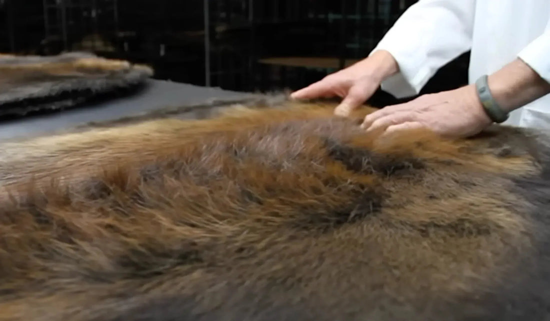 Fur Felting: Crafting Strong, Lightweight Felt Hats by Laird Hatters