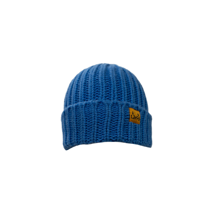 Chunky-Knit Merino Beanie