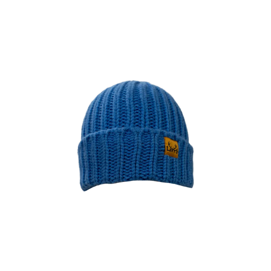 Chunky-Knit Merino Beanie