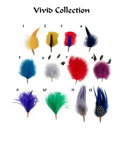 Hat Feathers